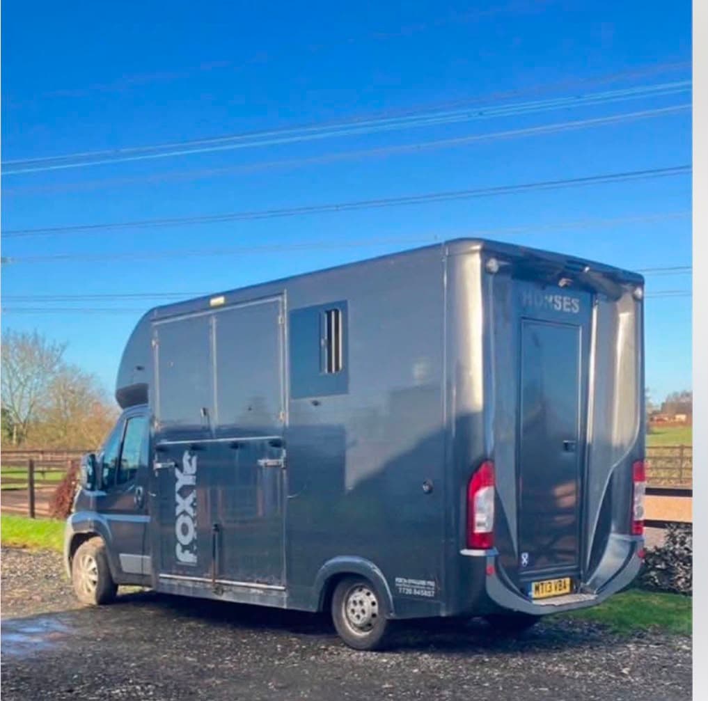 Foxy — 3.5 tonne self-drive horsebox, rear view